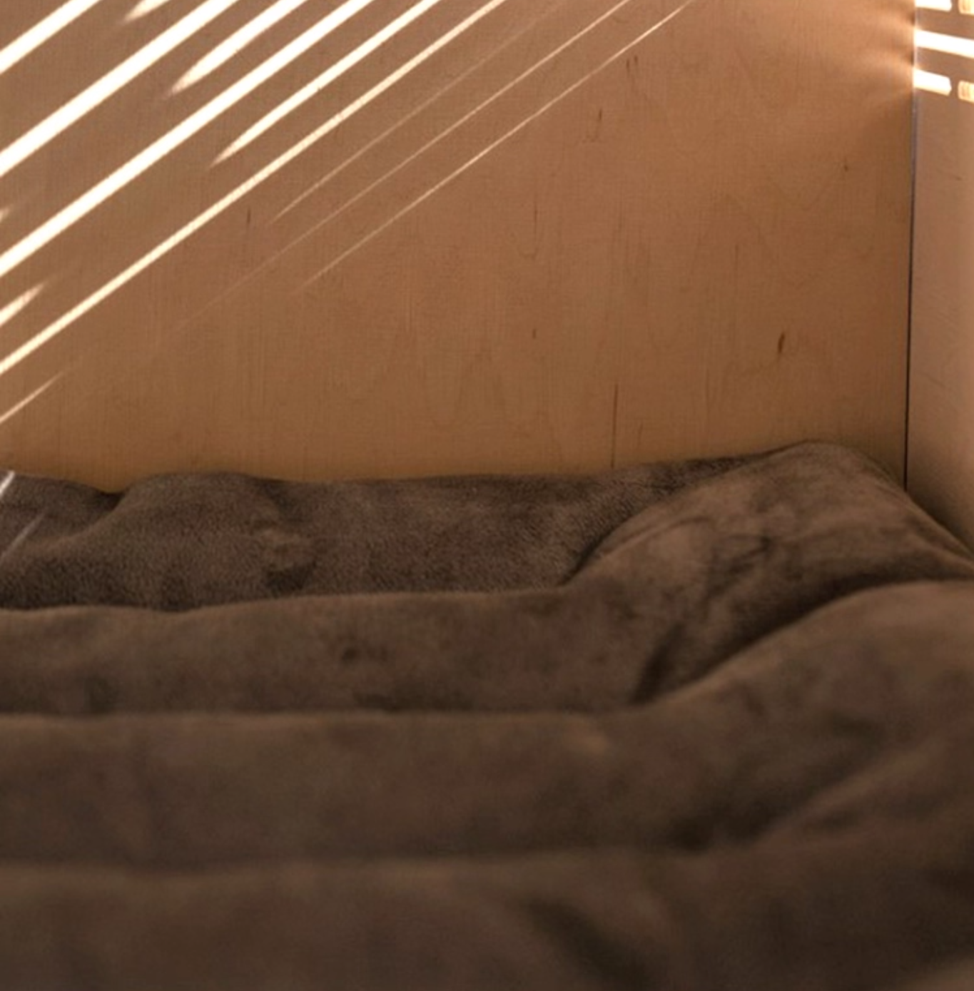 Sunlight filtering through a window onto a textured surface