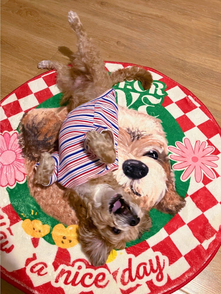 Customised Carpet for Cats & Dogs - image 21