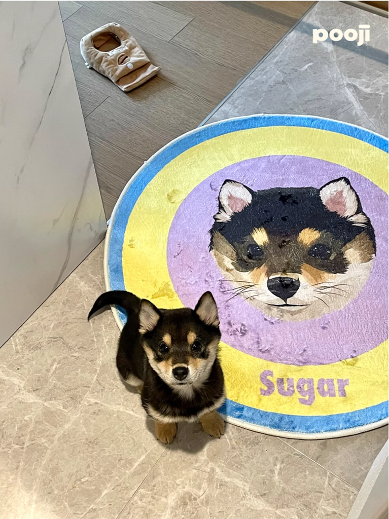 Customised Pet Rugs for Dogs and Cats - image 16