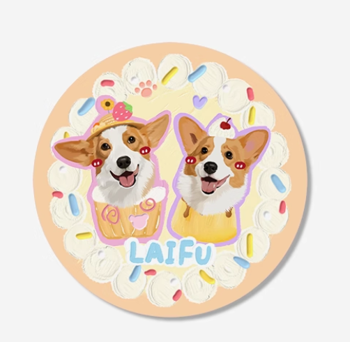 Customised Pet Rugs for Dogs and Cats - image 9