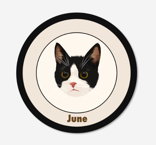 Circular sticker with a black and white cat illustration and the name 'June' on a beige background