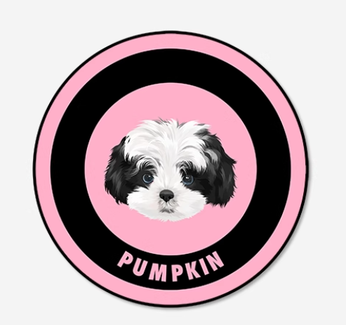 Circular sticker with a dog's face and the name 'Pumpkin' on a pink and black background
