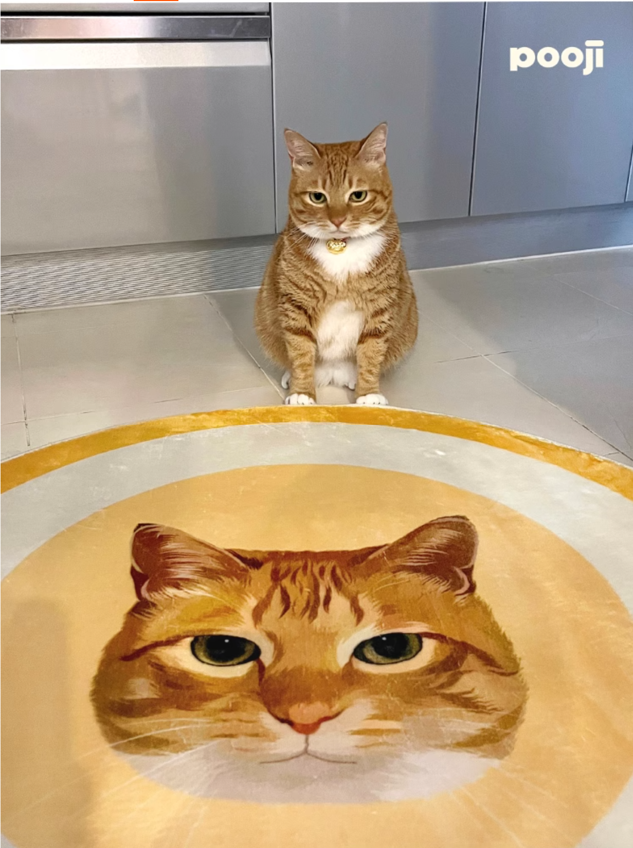 Cat sitting on a toilet with a rug featuring a cat's face in a bathroom setting.