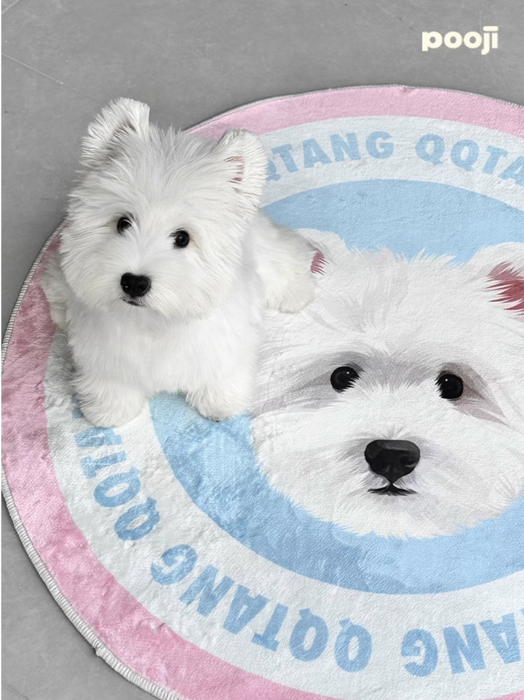 Customised Pet Rugs for Dogs and Cats - image 19