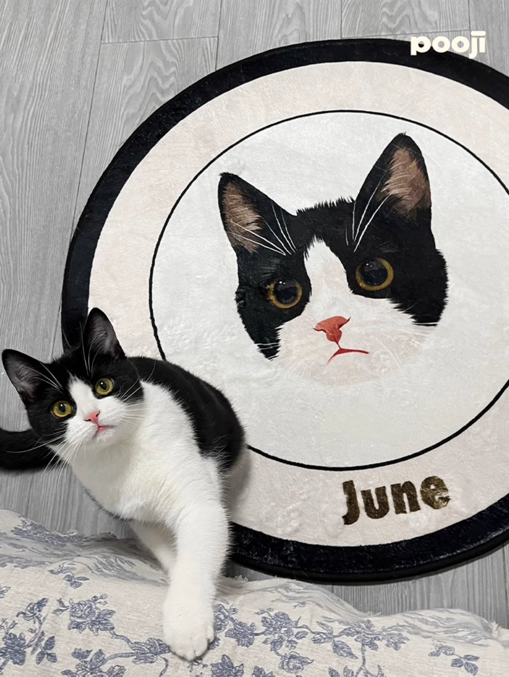 Customised Pet Rugs for Dogs and Cats - image 20