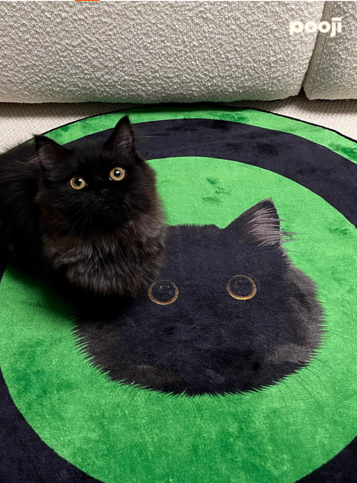 Black cat lying on a green and black round mat with a cat face design.