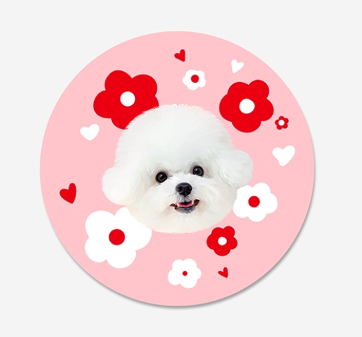 Customised Pet Rugs for Dogs and Cats - image 5