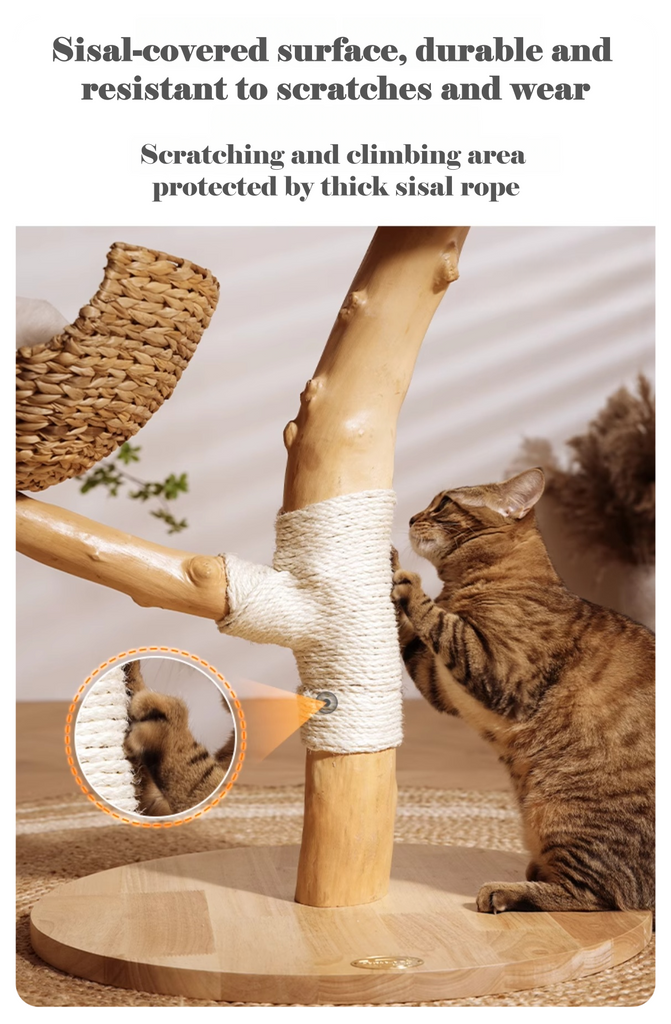 Premium Wooden Double-Legged Cat Tree - image 7