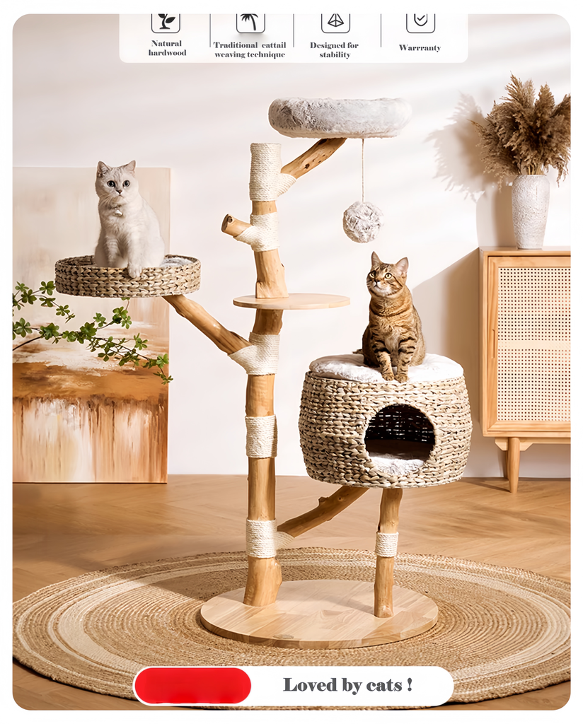 Premium Wooden Double-Legged Cat Tree - image 10