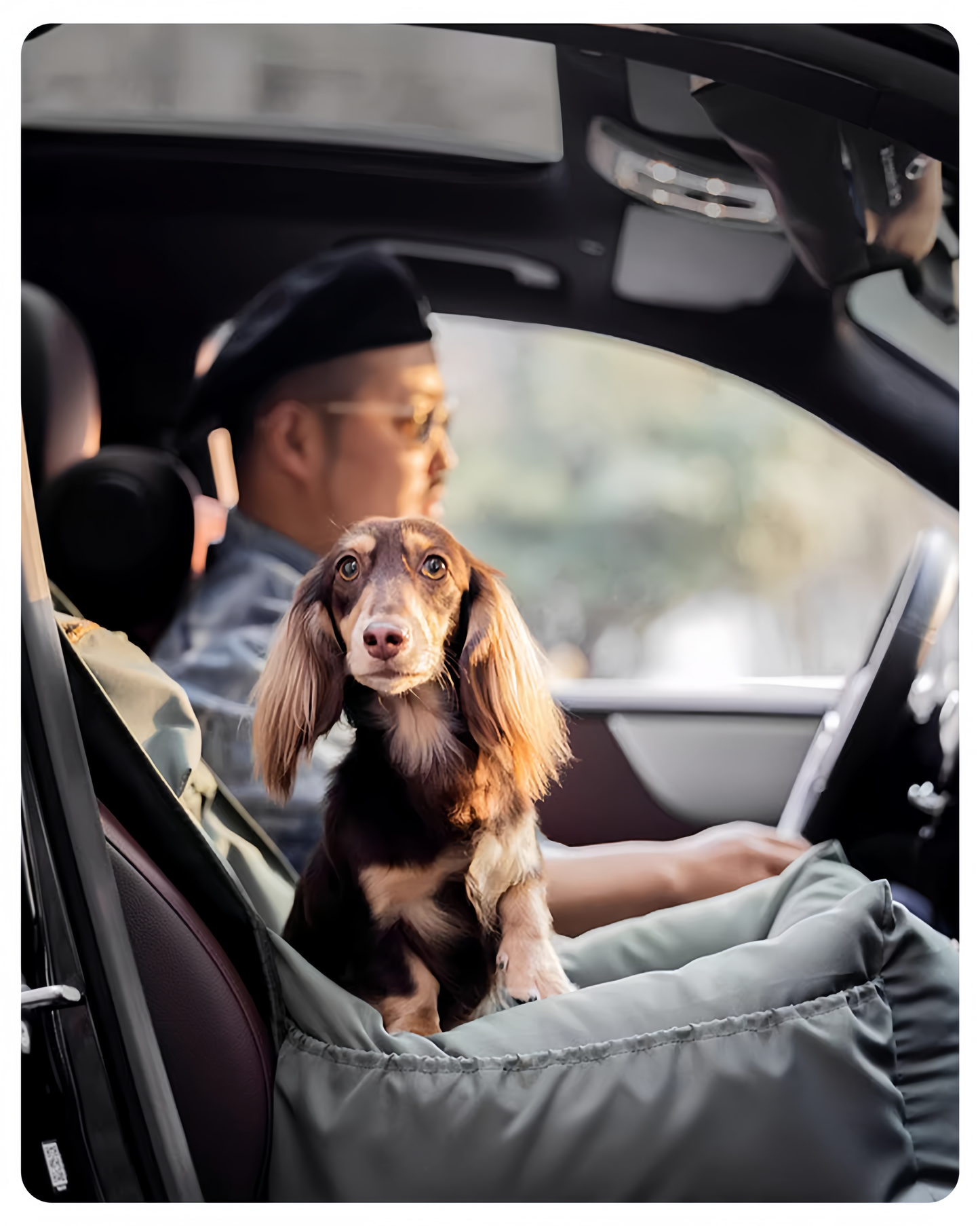 Dog sitting in a car with a person wearing a cap and glasses.