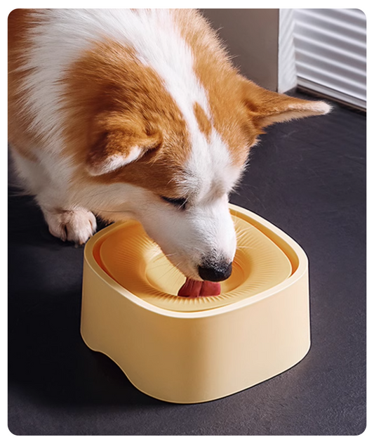 Dog drinking from a yellow bowl on a dark surface