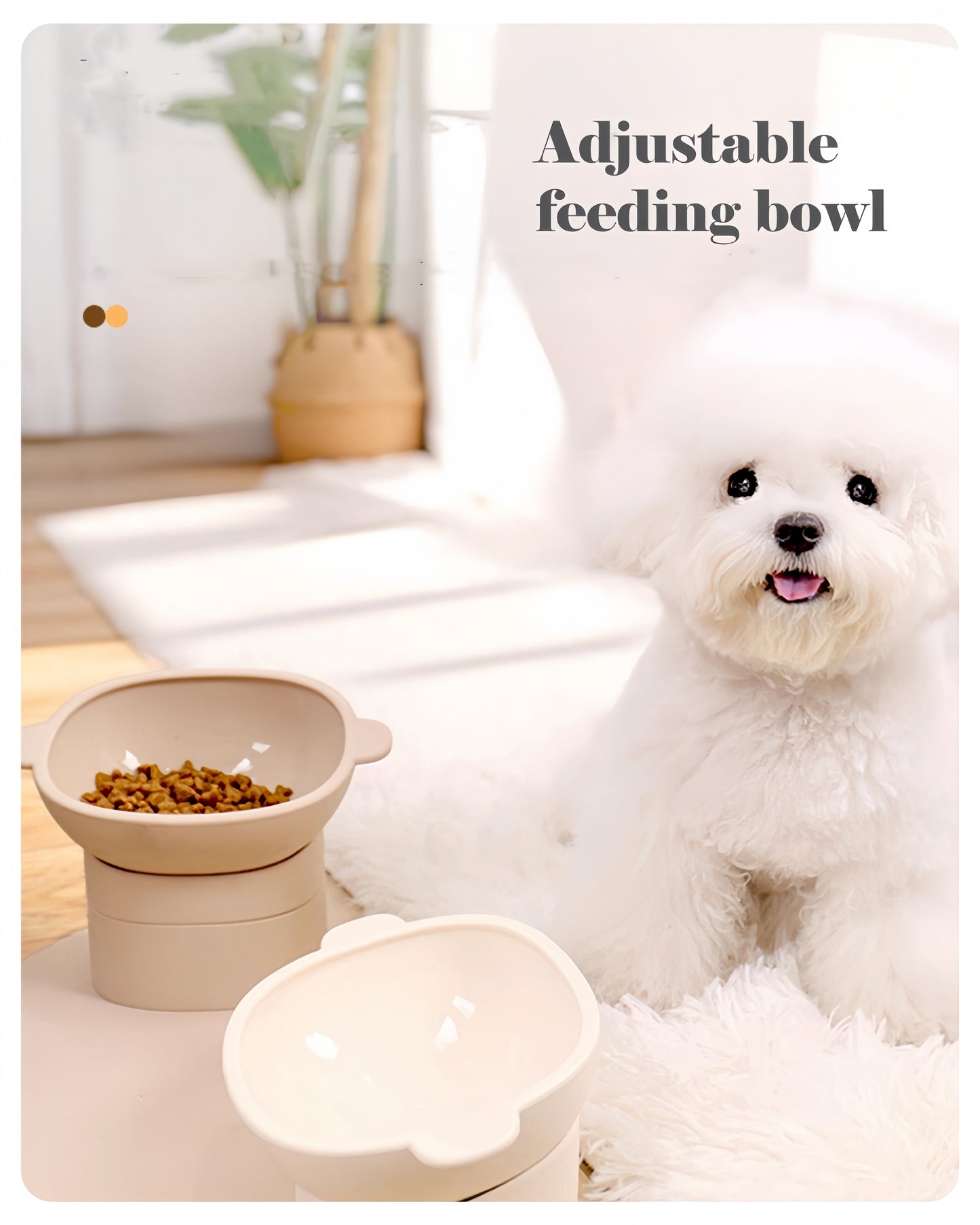 White dog with an adjustable feeding bowl on a light background