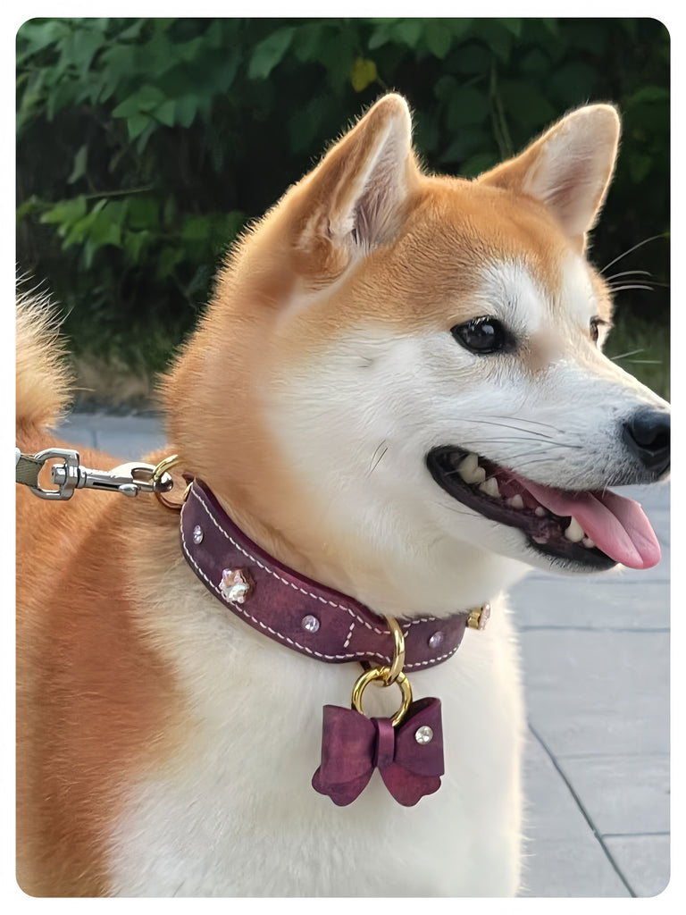 Customised & Handmade Luxury Leather Pet Collars - image 1