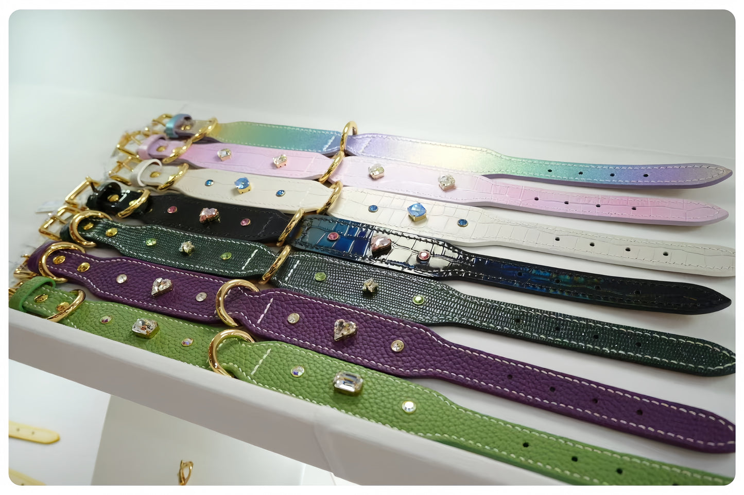 Set of colorful dog collars with decorative elements on a white surface