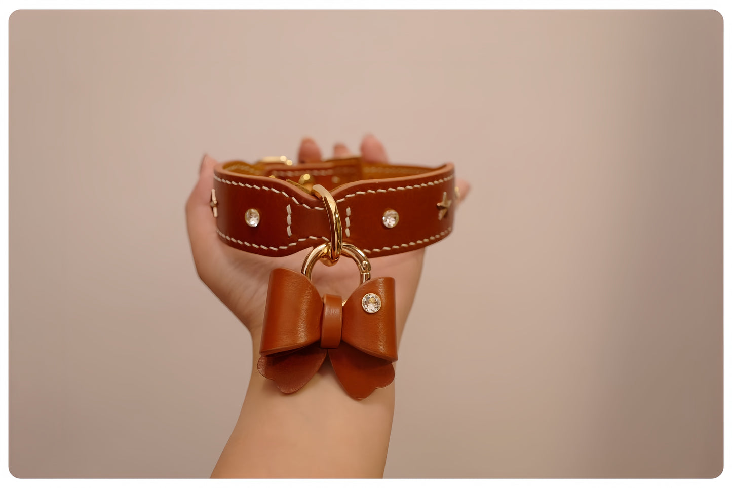 Brown leather dog collar with a bow held by a hand against a beige background