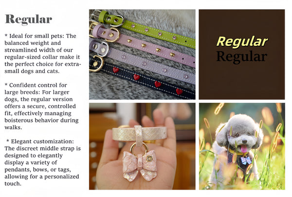 Customised & Handmade Luxury Leather Pet Collars