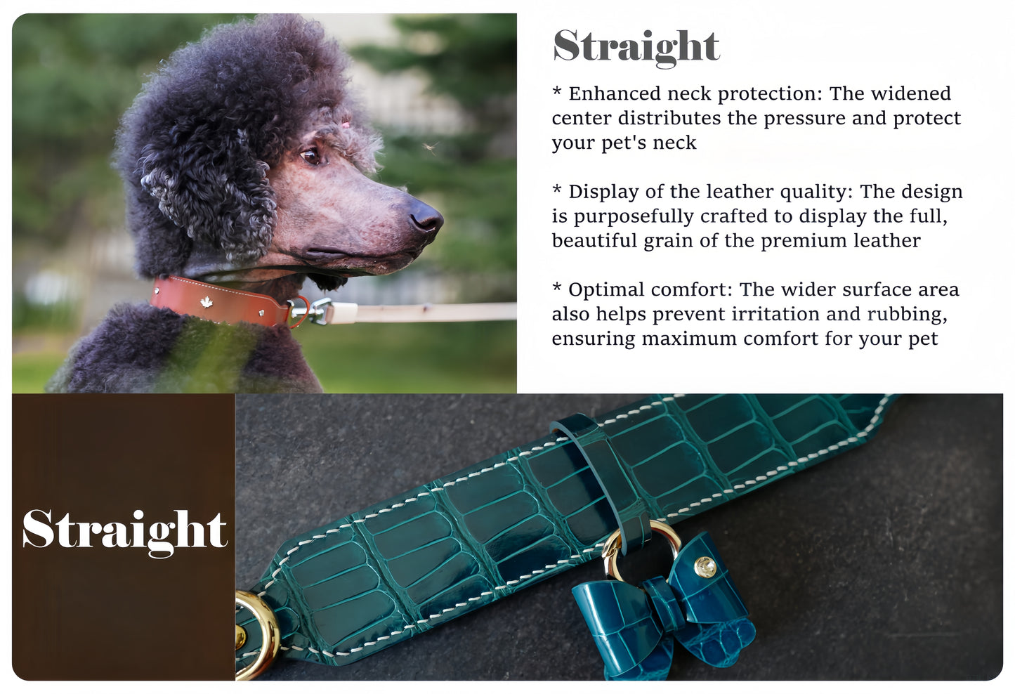 Teal leather dog collar with text about neck protection and comfort.