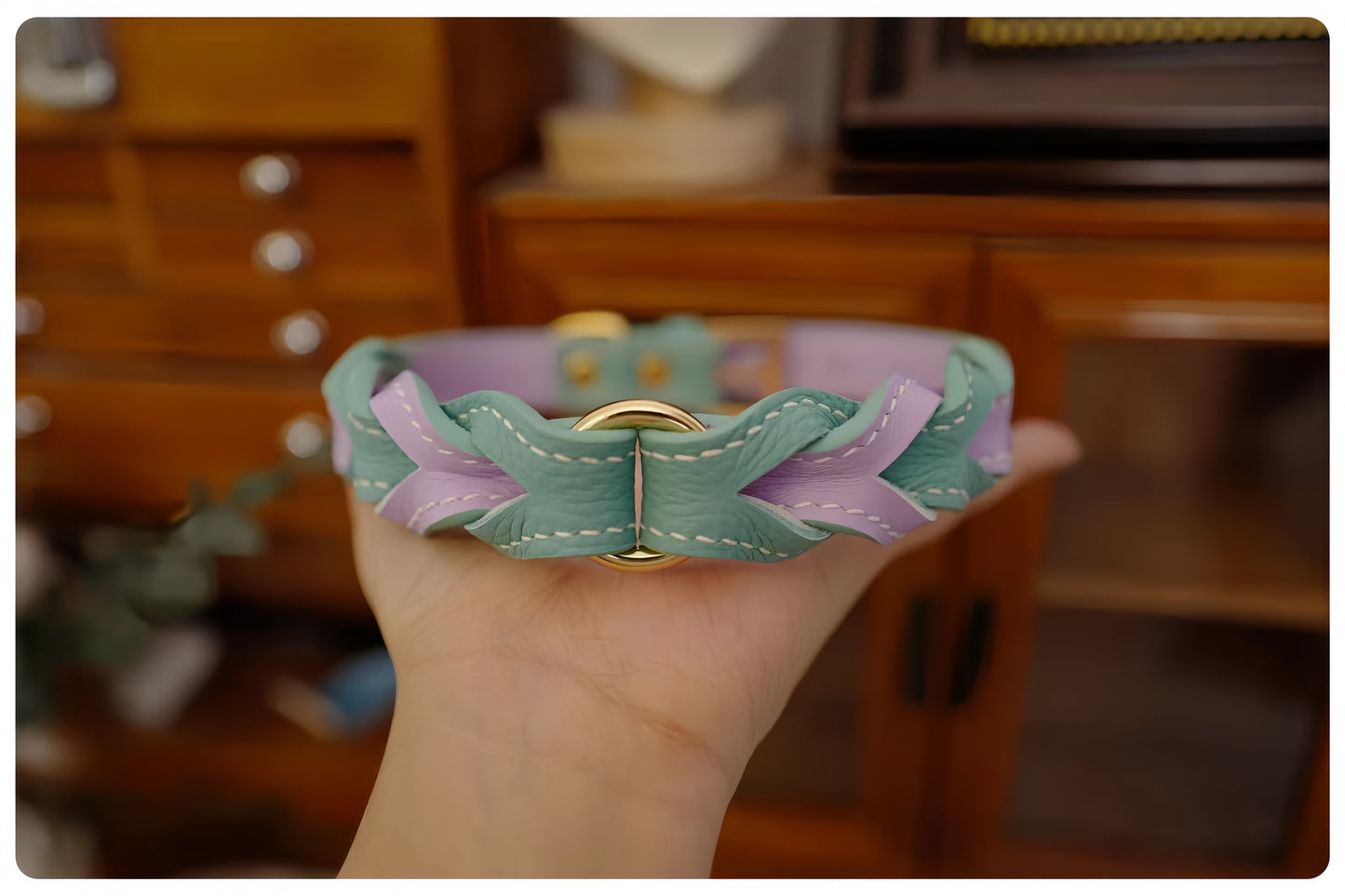 Hand holding a braided teal and purple dog collar with a gold clasp in front of wooden furniture.