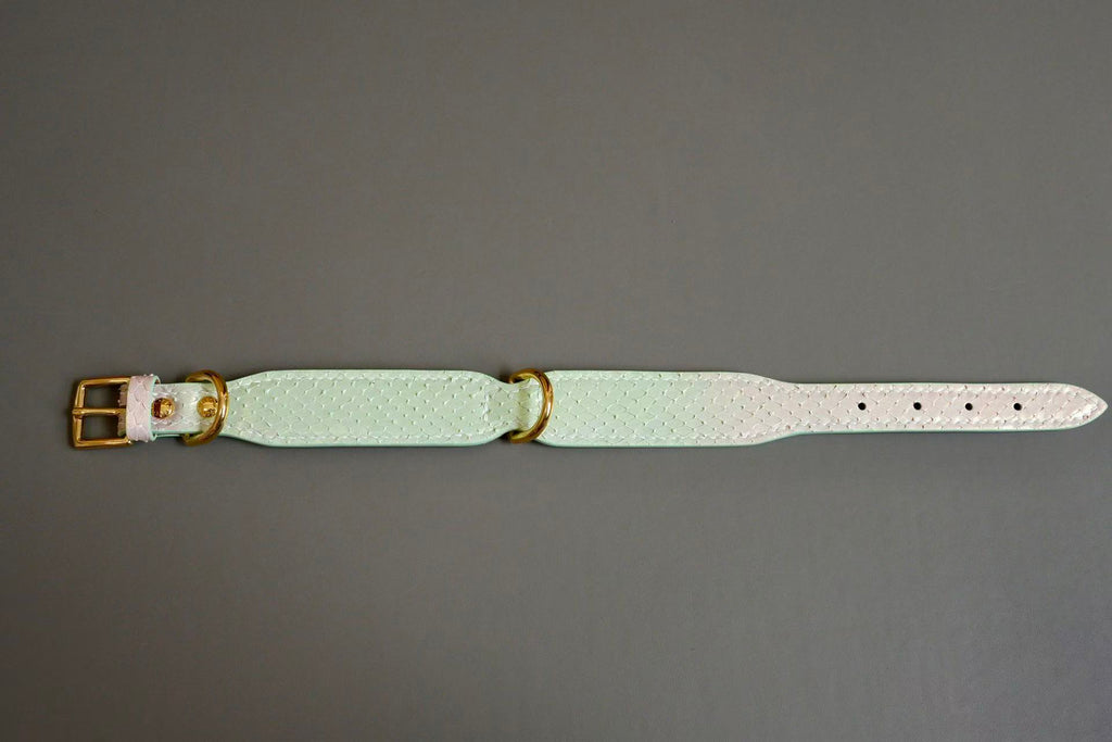 Customised & Handmade Luxury Leather Pet Collars - image 27