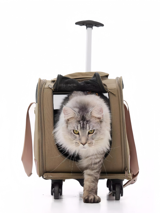 Cat in a beige pet carrier with wheels on a white background