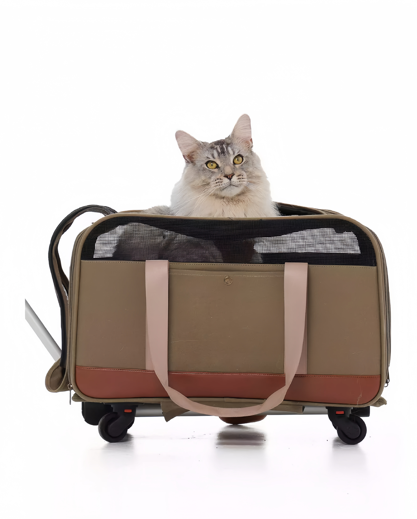 Cat sitting inside a brown pet carrier with wheels on a white background