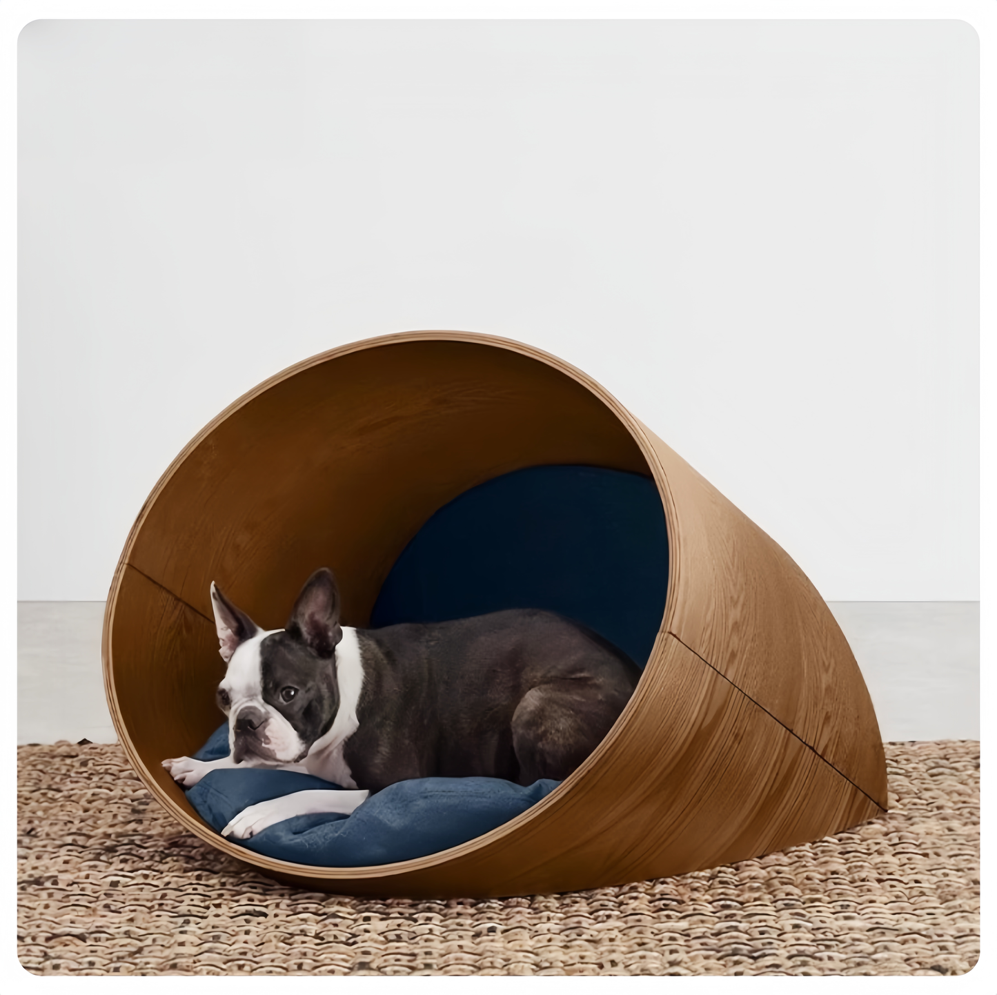 Dog lying in a wooden pet bed with a blue cushion on a textured surface.