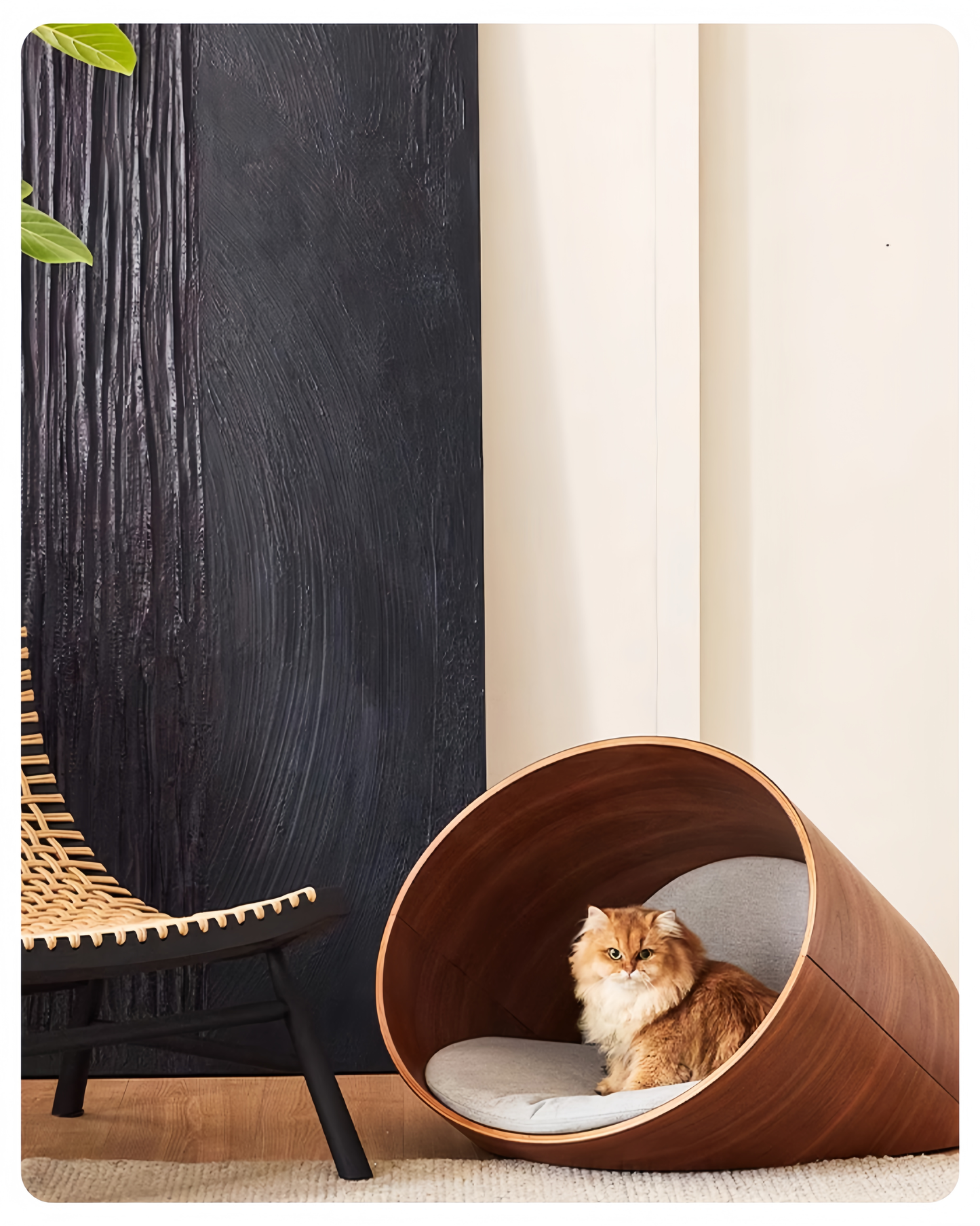 Cat sitting inside a wooden pet bed with a modern chair and striped wall in the background
