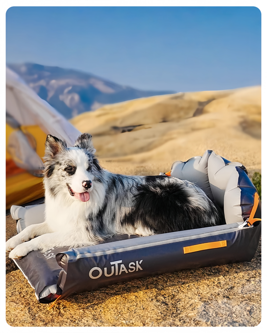 Dog lying on an Outtask inflatable bed with a scenic background