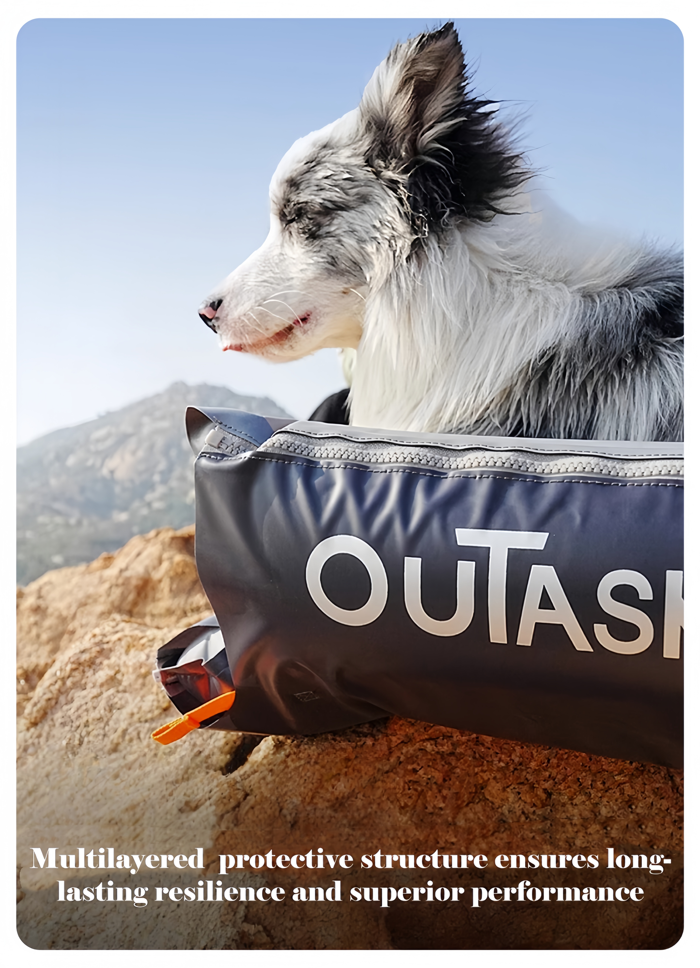 Dog wearing an Outasport backpack with a mountainous background