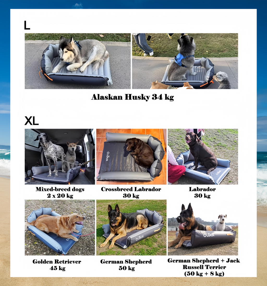 Outdoor-Airpad für Haustiere - image 12