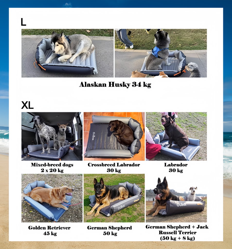 All-terrain Outdoor Pet inflatable Airpad - image 12