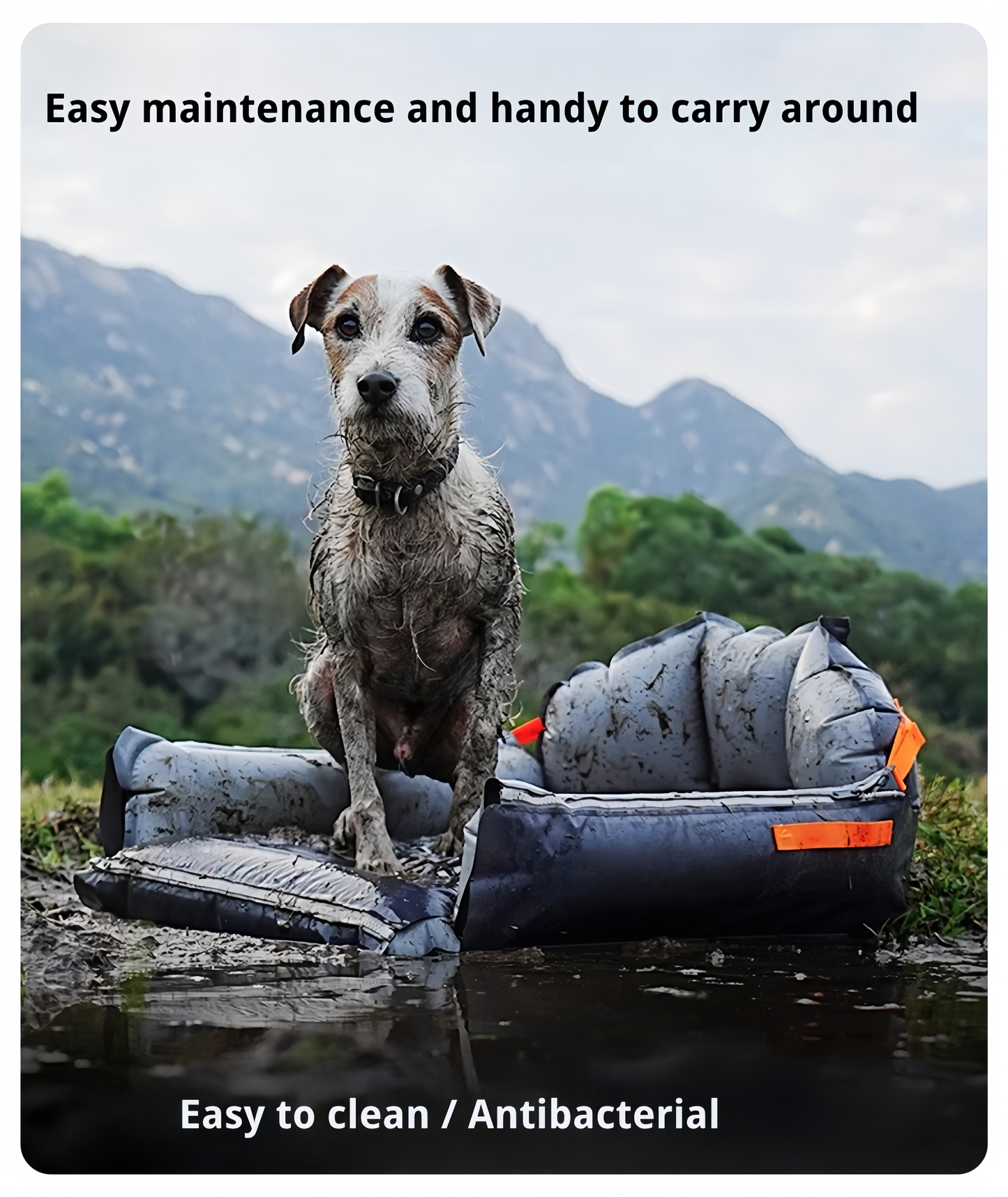 Dog sitting on a portable dog bed in a natural setting with text about its features.