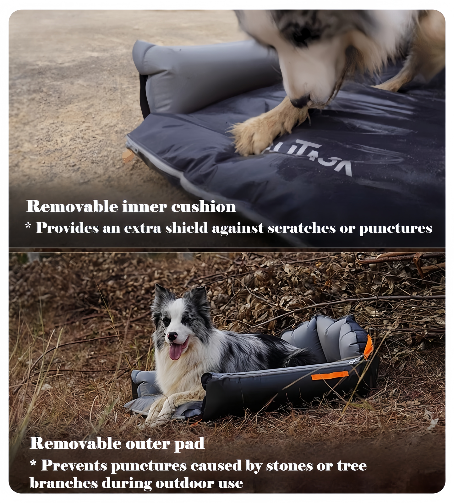 Two dogs using a dog bed with removable inner cushion and outer pad in an outdoor setting.