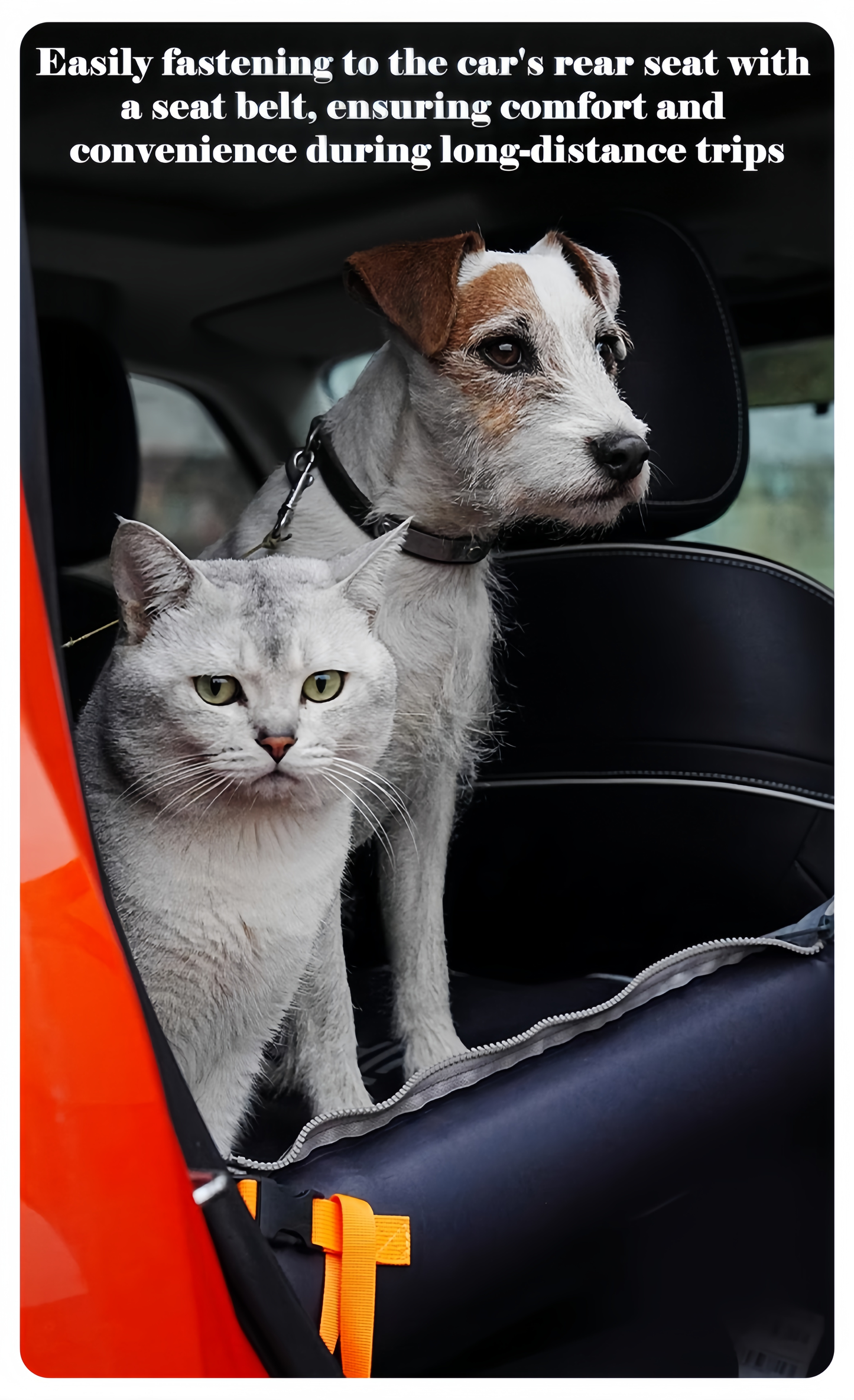 Cat and dog in a car with text about seat belt safety during long-distance trips