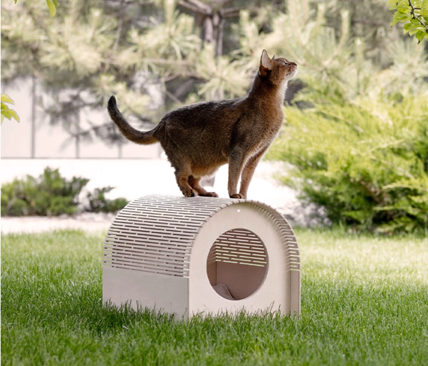 Cat standing on a modern cat house in a grassy outdoor setting