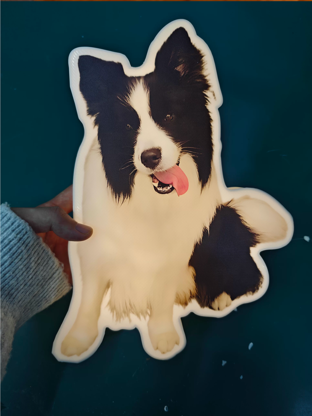 Customised Pets night light - image 5