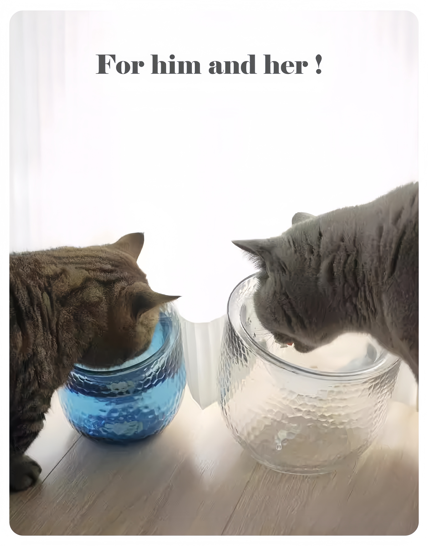 Two cats interacting with textured glass bowls, one blue and one clear, on a light wood floor.