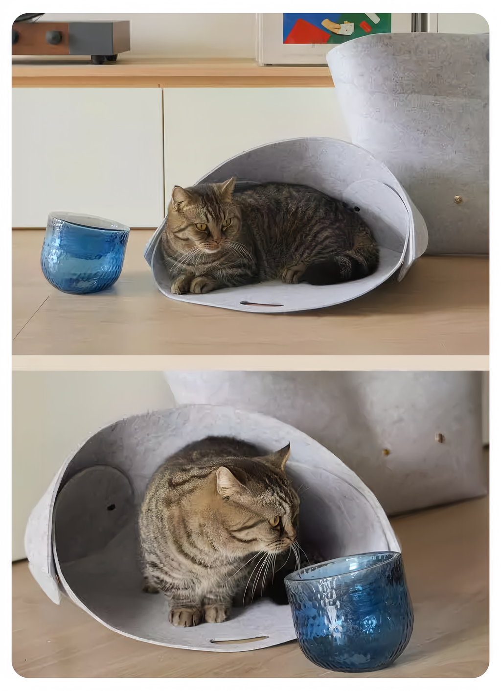 Timeless Design Glass Pet Bowl - image 13