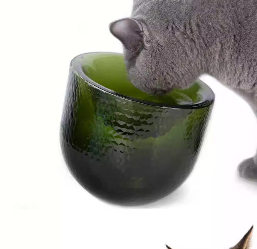 Cat drinking from a green glass bowl on a white background