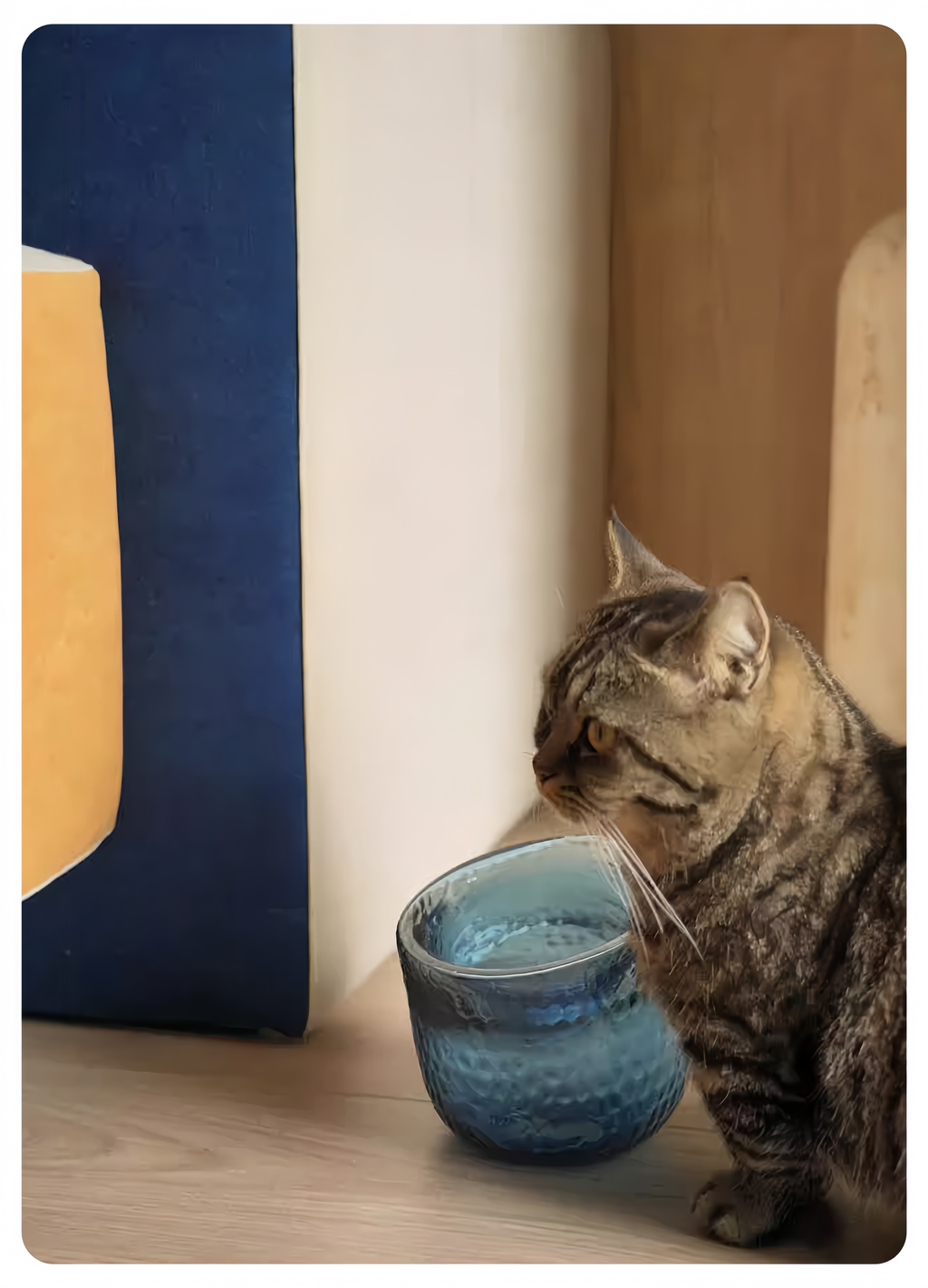 Timeless Design Glass Pet Bowl - image 11