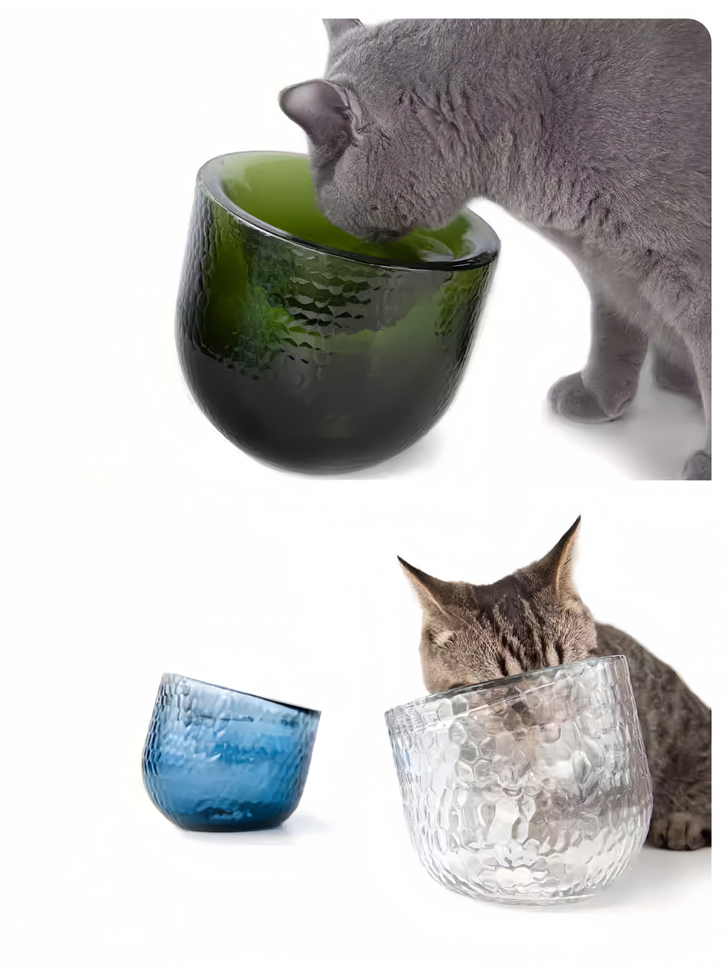 Timeless Design Glass Pet Bowl - image 1