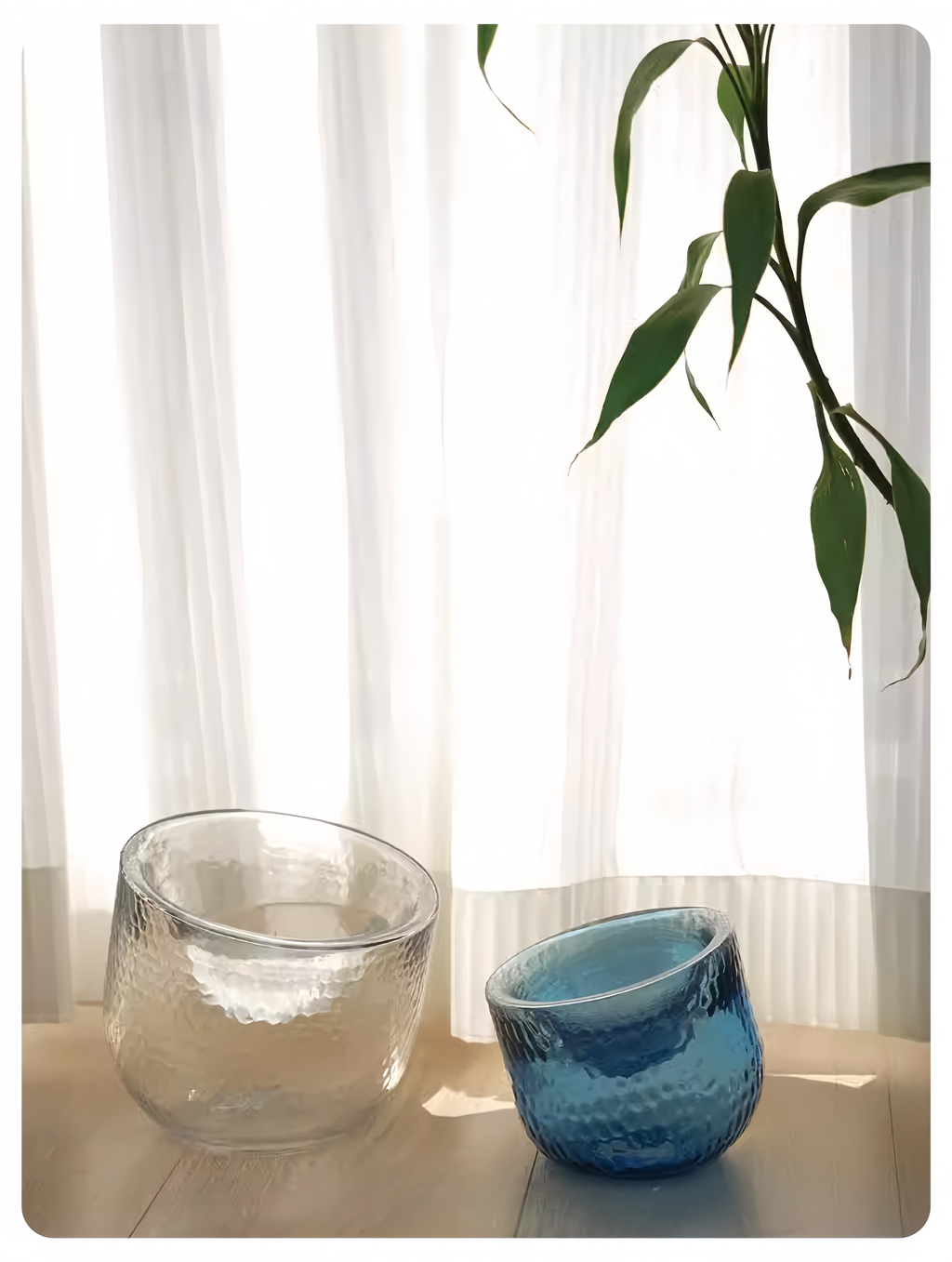 Timeless Design Glass Pet Bowl - image 2