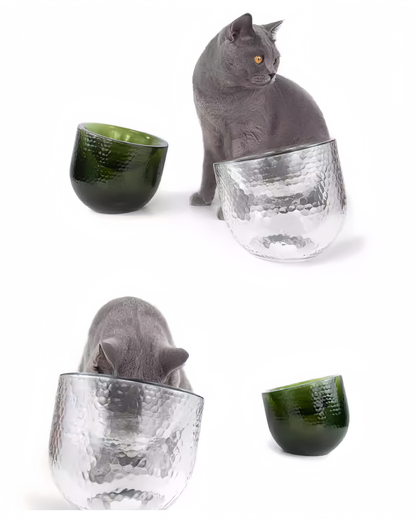 Gray cat interacting with glass and green ceramic bowls on a white background
