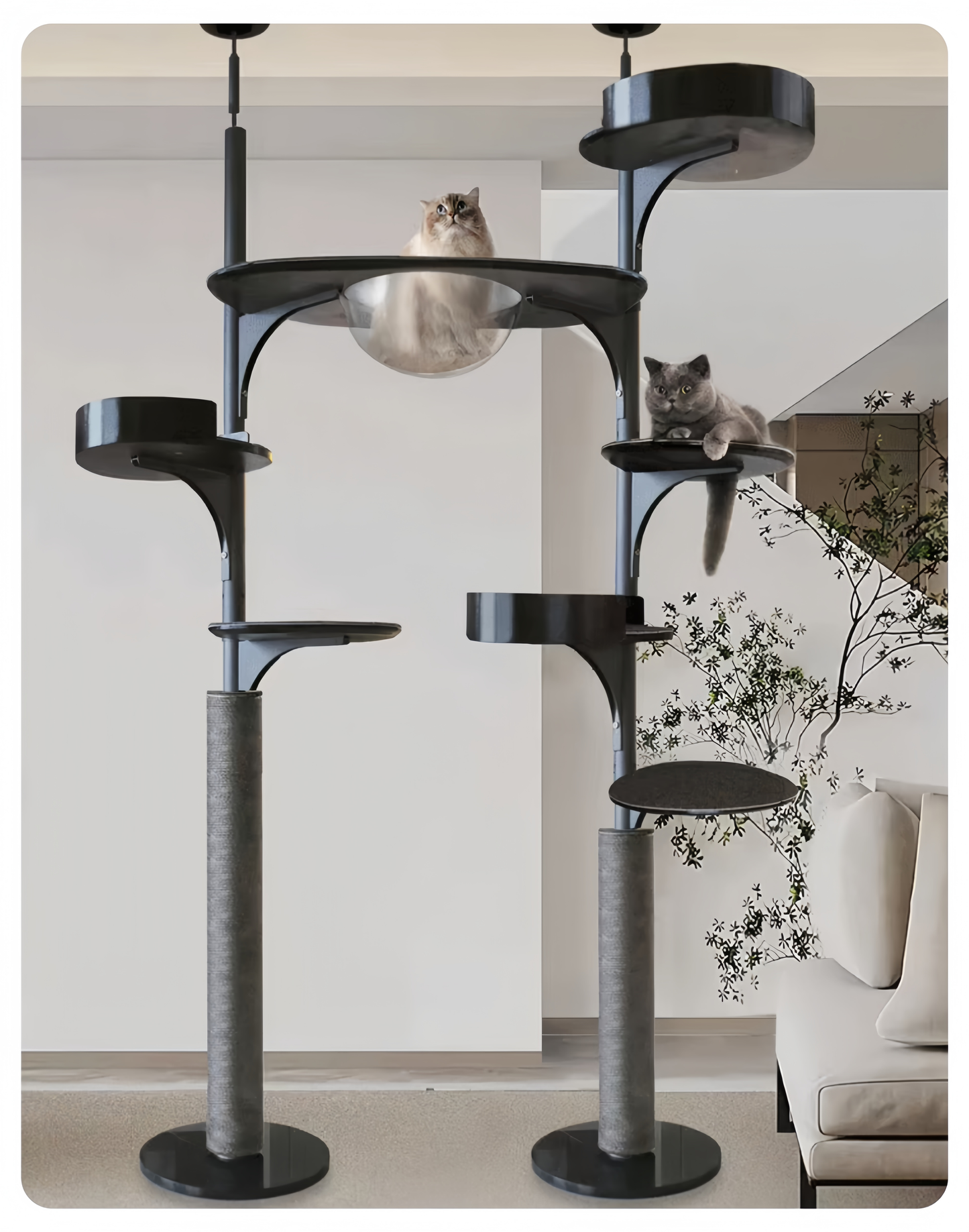 Cat tree with multiple levels and two cats on a light-colored floor.